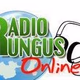 Logo de Radio Rungus Online