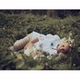 Miled Music - Sleep logo