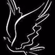 Radio Chakavak logo