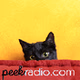 Peekradio logo