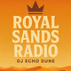 Logo de 99.3 Royal Sands Radio