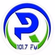Logo de Planeta Radio