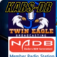 Logo de Twin Eagles Radio