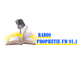 Logo de Radio Prophetie Fm 91.1