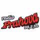 Radio Prahova - RPh Summer logo