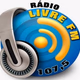 Logo de Rádio Livre FM