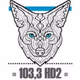 Logo de Coyote New Country - CHAA-HD2