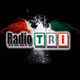 Radio Futura - Radio Tri logo