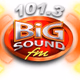 Logo de 101.3 Big Sound FM - DWDC