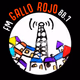 Logo de FM Gallo Rojo 88.7