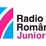 Kids Radio logo