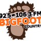 Bigfoot Country - WDBF-FM logo