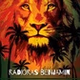 Radioras Benjamin logo