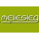 Mellesleg Radio - Hazai Alternativ logo