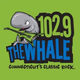 Logo de 102.9 The Whale - WDRC-FM