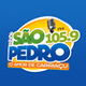 Rádio São Pedro FM logo