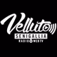 Radio Velluto logo