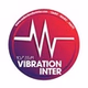 Radio Vibration Inter logo