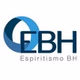 Radio Espiritismo BH logo