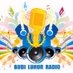 Logo de Radio Budi Luhur