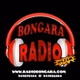 Radio Bongara logo