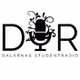 DUR - Dalarna University Radio logo