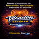 Logo de Vibración Estéreo