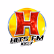 Logo de Hits FM