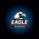 Logo de AFN Wiesbaden - The Eagle