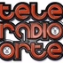 Tele Radio Orte - Orte FM 98.9 logo