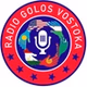 Radio Golos Vostoka logo