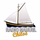 Radio Nahuel logo