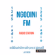Ngodini fm logo