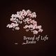 Bread Of Life Radio logo