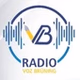 Radio Voz Brüning logo