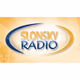 Logo de Slonsky Radio