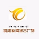 铜陵新闻广播 logo