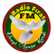 Logo de Radio Firat FM