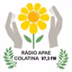 Logo de Rádio APAE FM