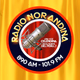 Logo de Radio Nor Andina