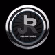 Logo de Julian Radio