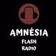 Logo de Amnesia Flash Radio