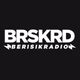 Logo de Berisik Radio