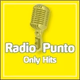 Logo de Radio Punto - Hits Channel