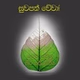 Syberviduliya Dhamma Radio logo