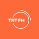 Logo de TRT FM
