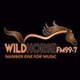 Wild Horse FM logo
