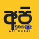 Api Dubai logo