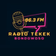 Tekek FM Bondowoso logo