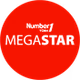 Number1 FM - Number1 Türk Mega Star logo